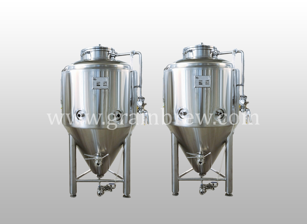 200L Conical Beer Fermenter For Nano Brewery